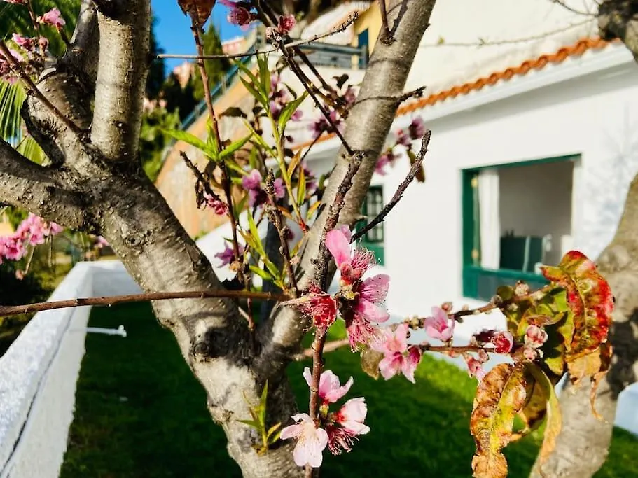 Vivienda Vacacional Con Vistas. Apartment Sauzal