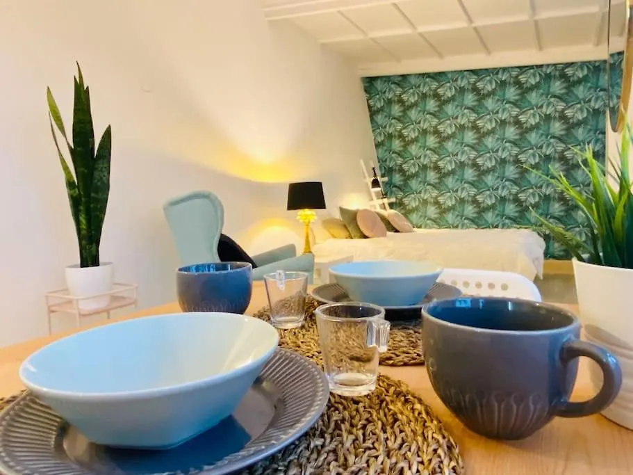 Vivienda Vacacional Con Vistas. Apartment Sauzal